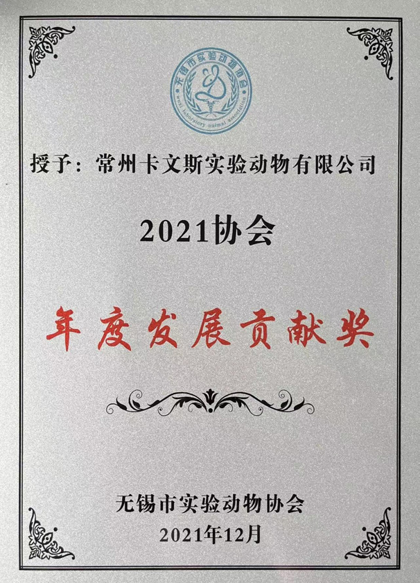 發(fā)展貢獻(xiàn)獎